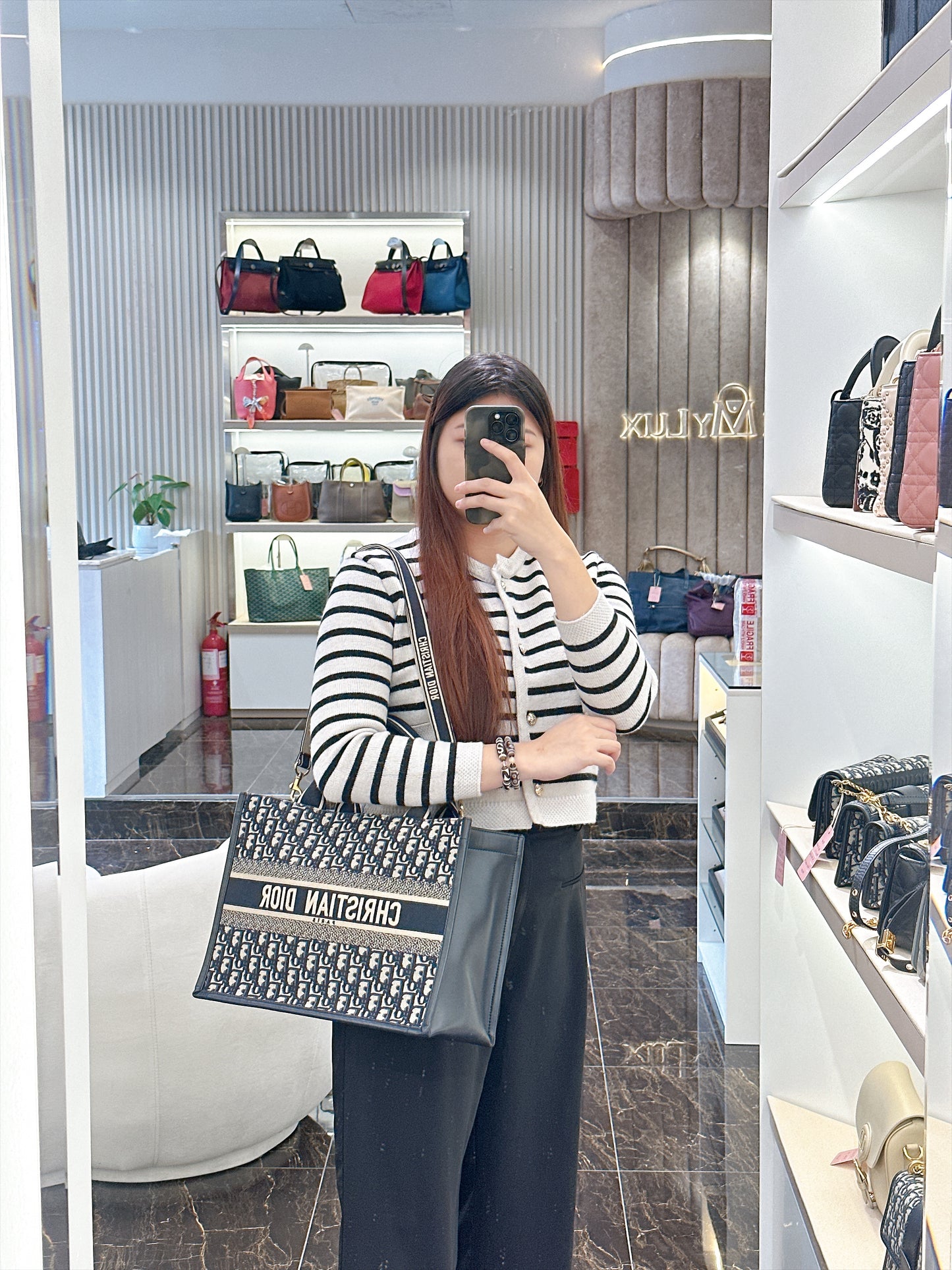 Dior Medium Book Tote In Blue Oblique and Calfskin
