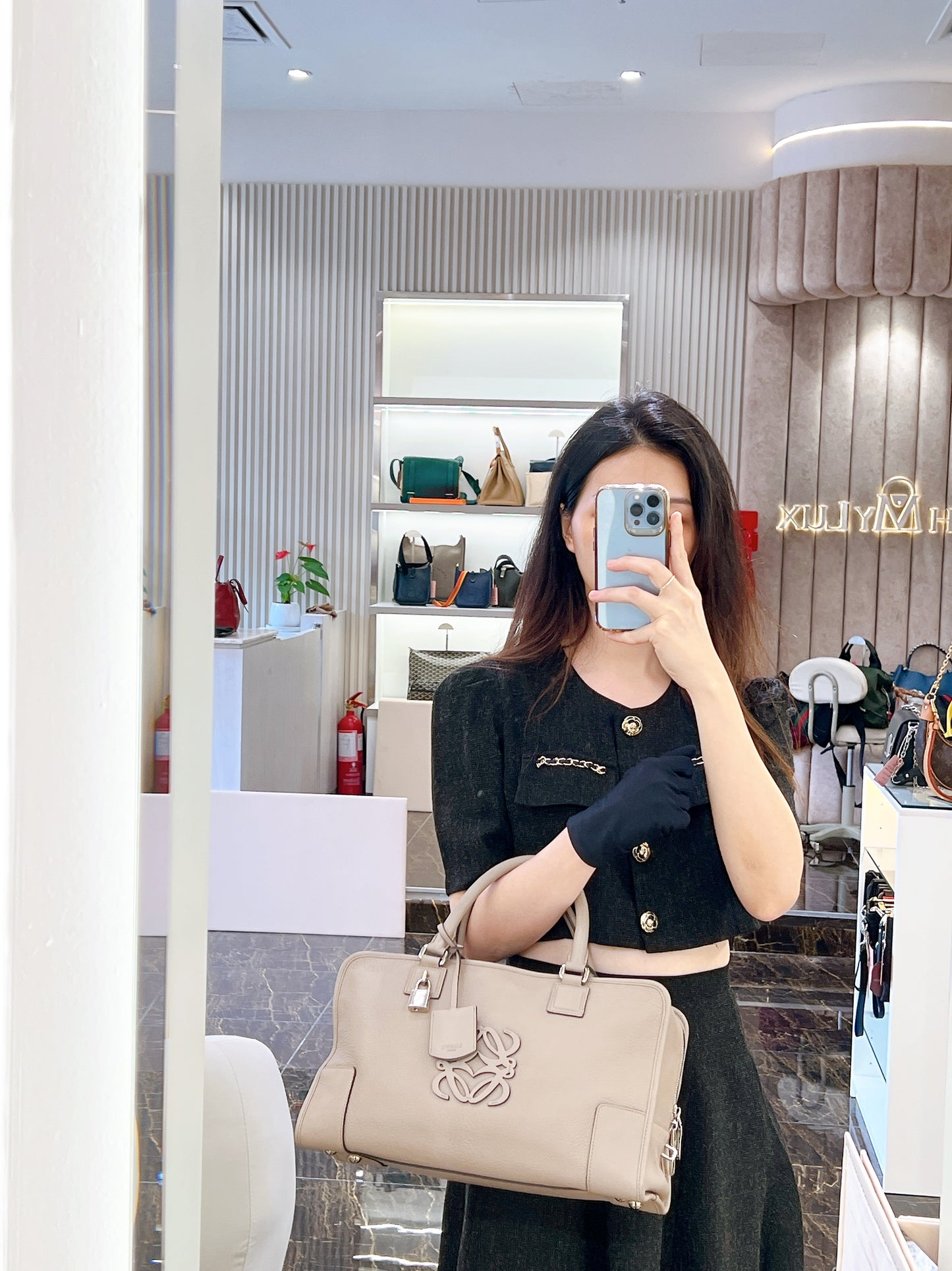 Loewe Amazona 36 in Gray