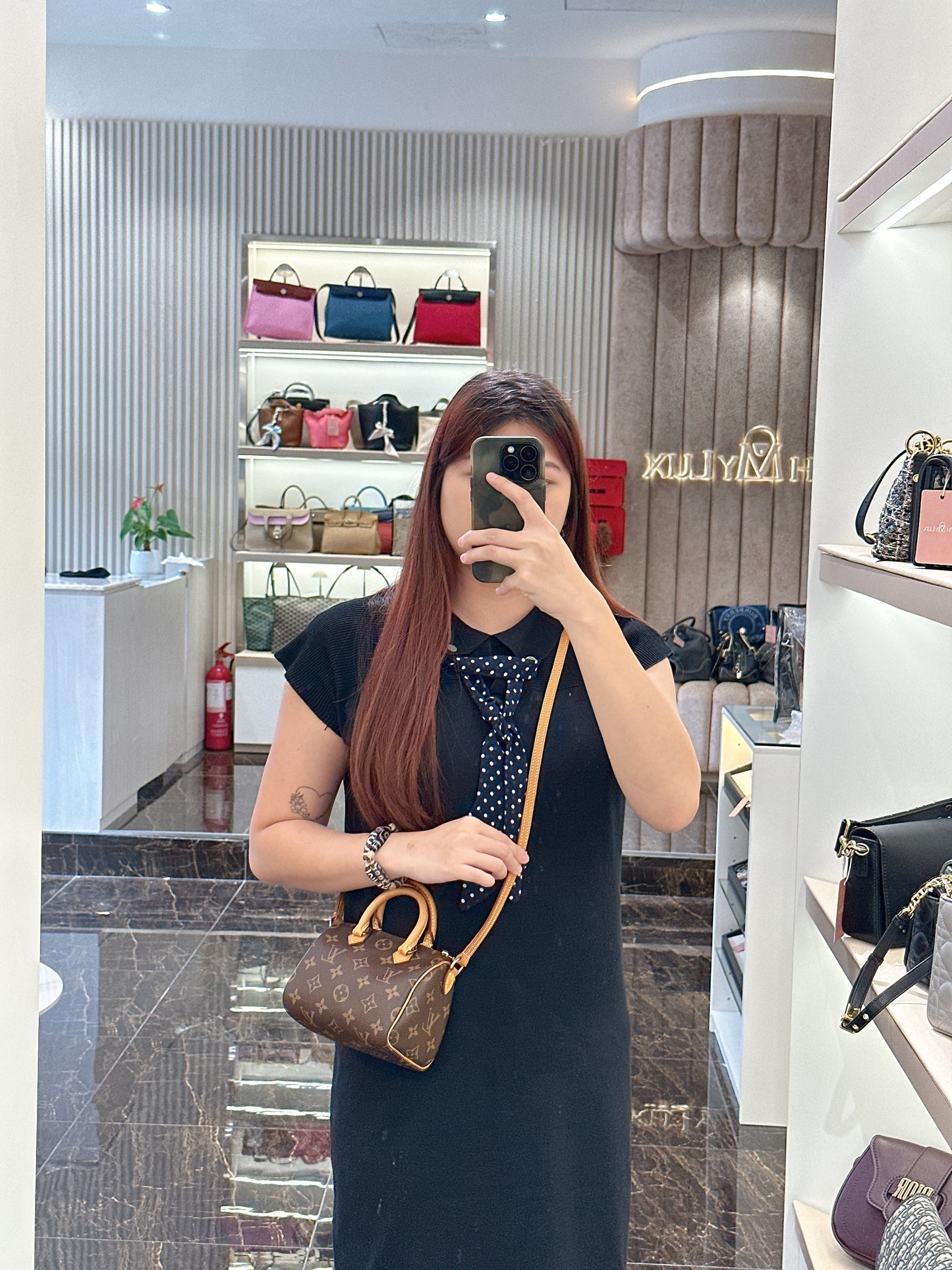 LV Monogram Nano Speedy
