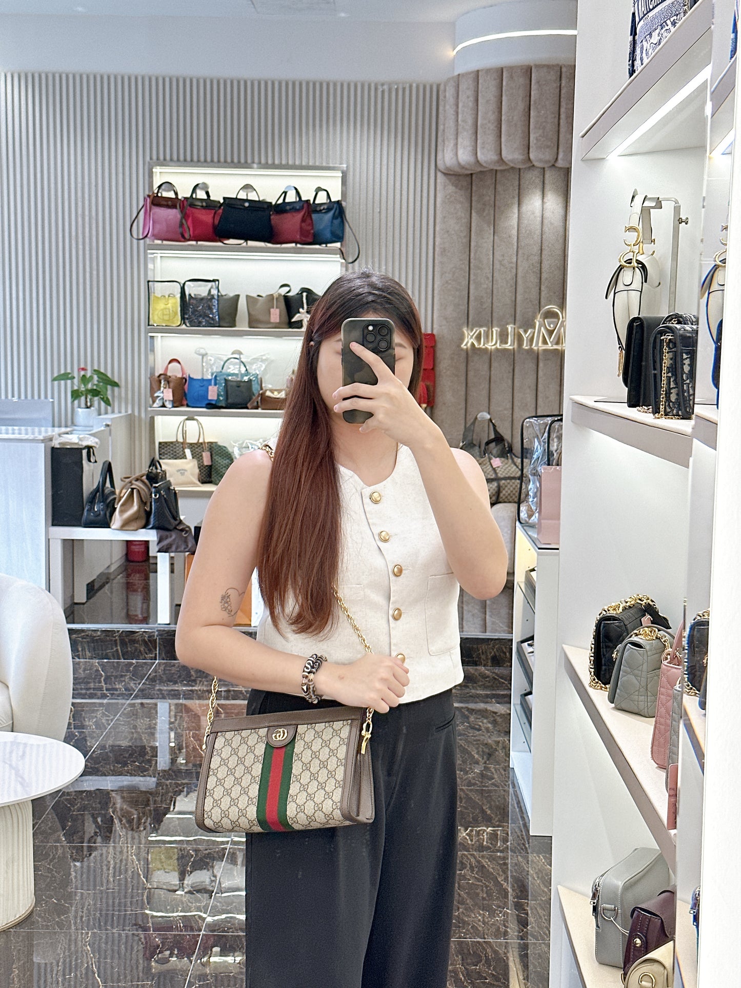 Gucci Ophidia Chain Bag