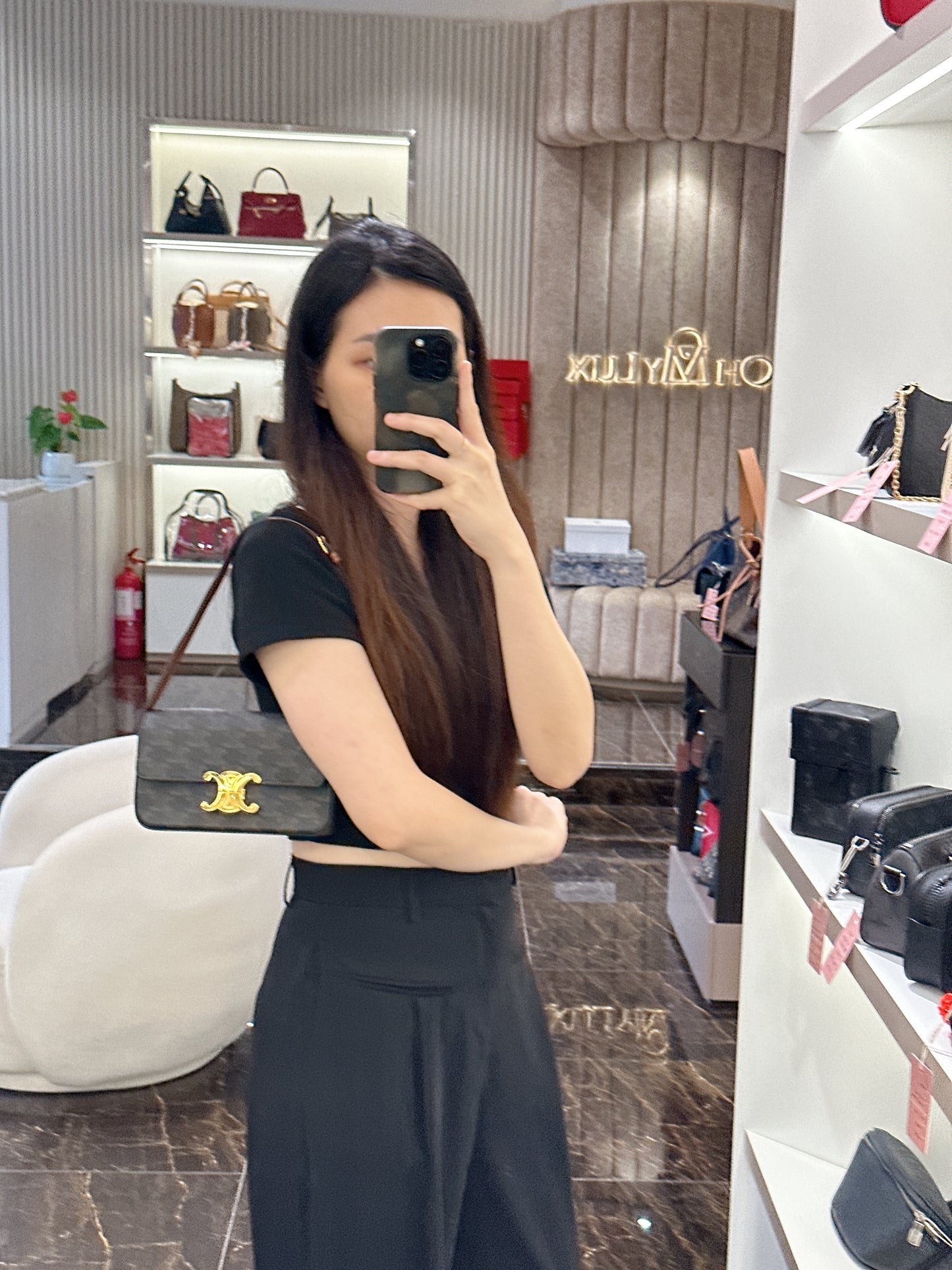 Celine Bag Claude in Triomphe Canvas