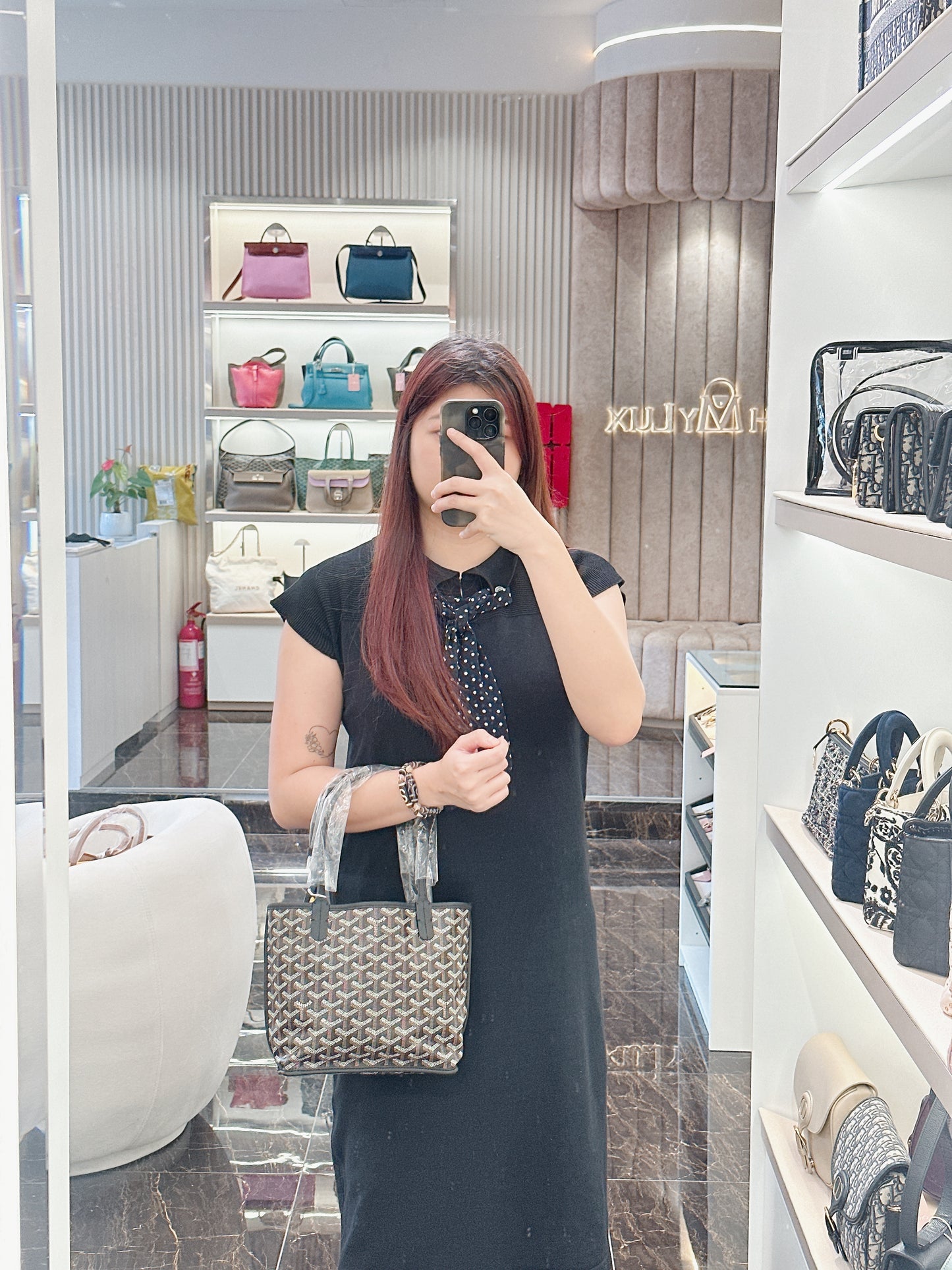 Goyard Mini Anjou in Black