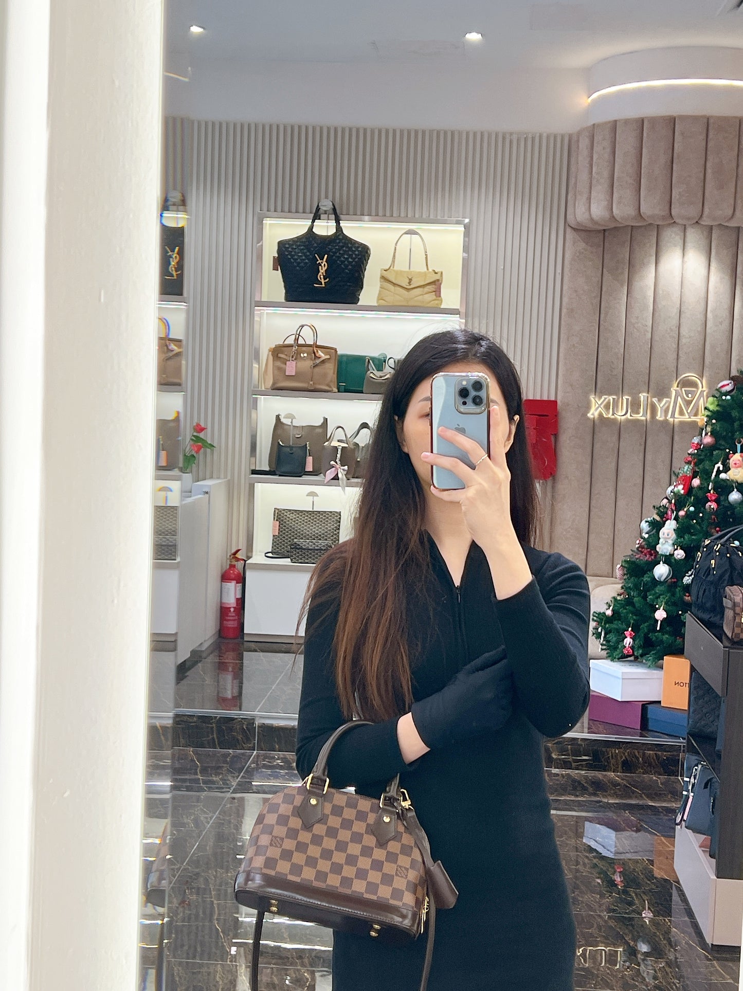 LV Damier Ebene Alma BB