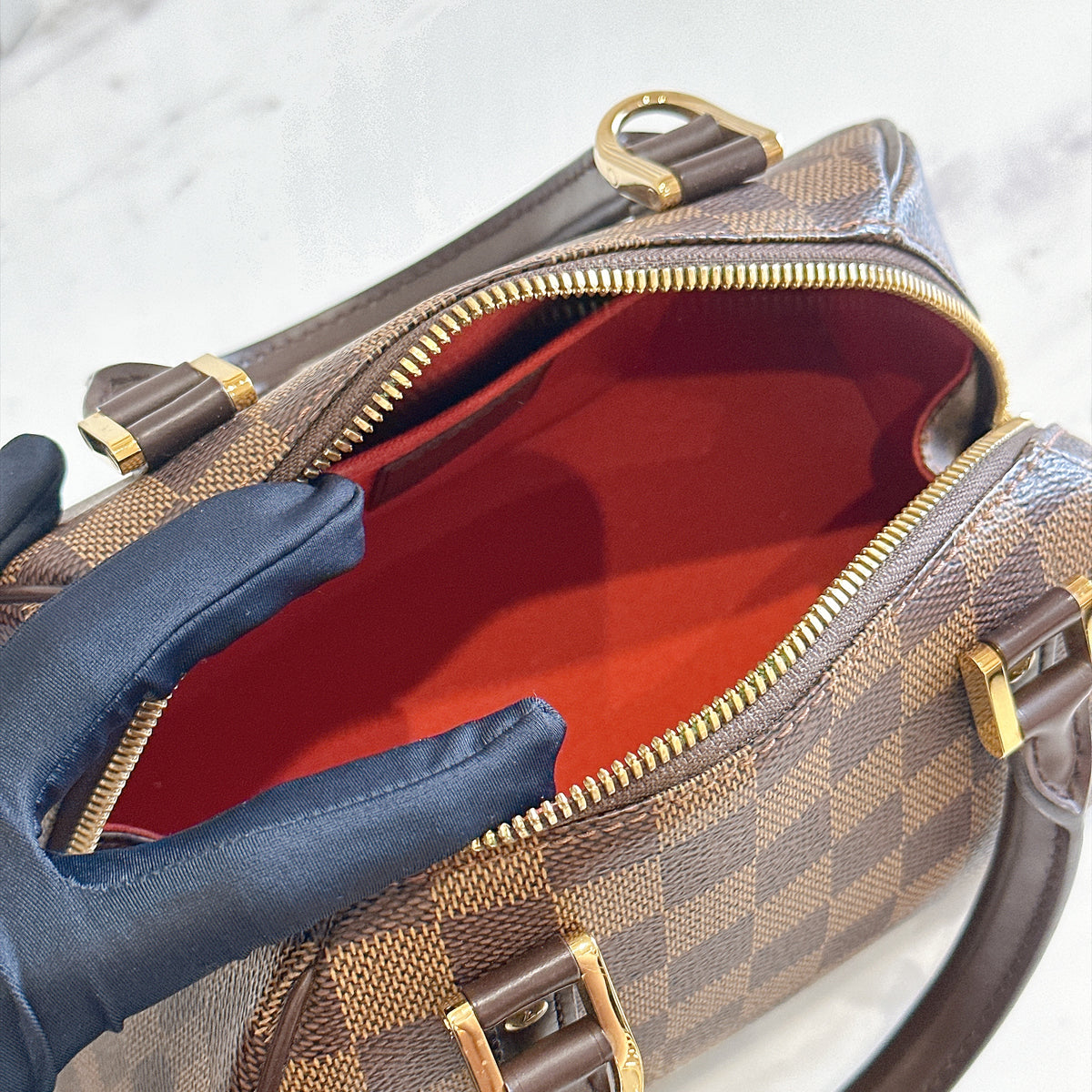 LV Ribera Mini Damier Ebene