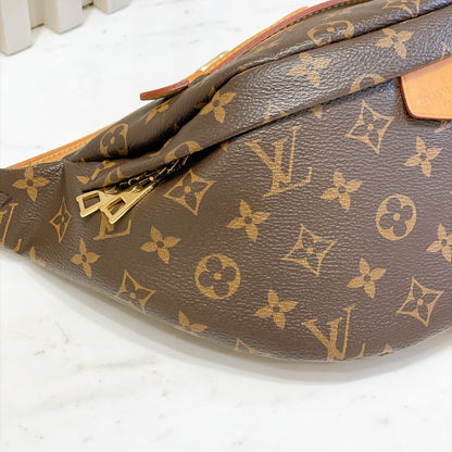 LV Monogram Bumbag