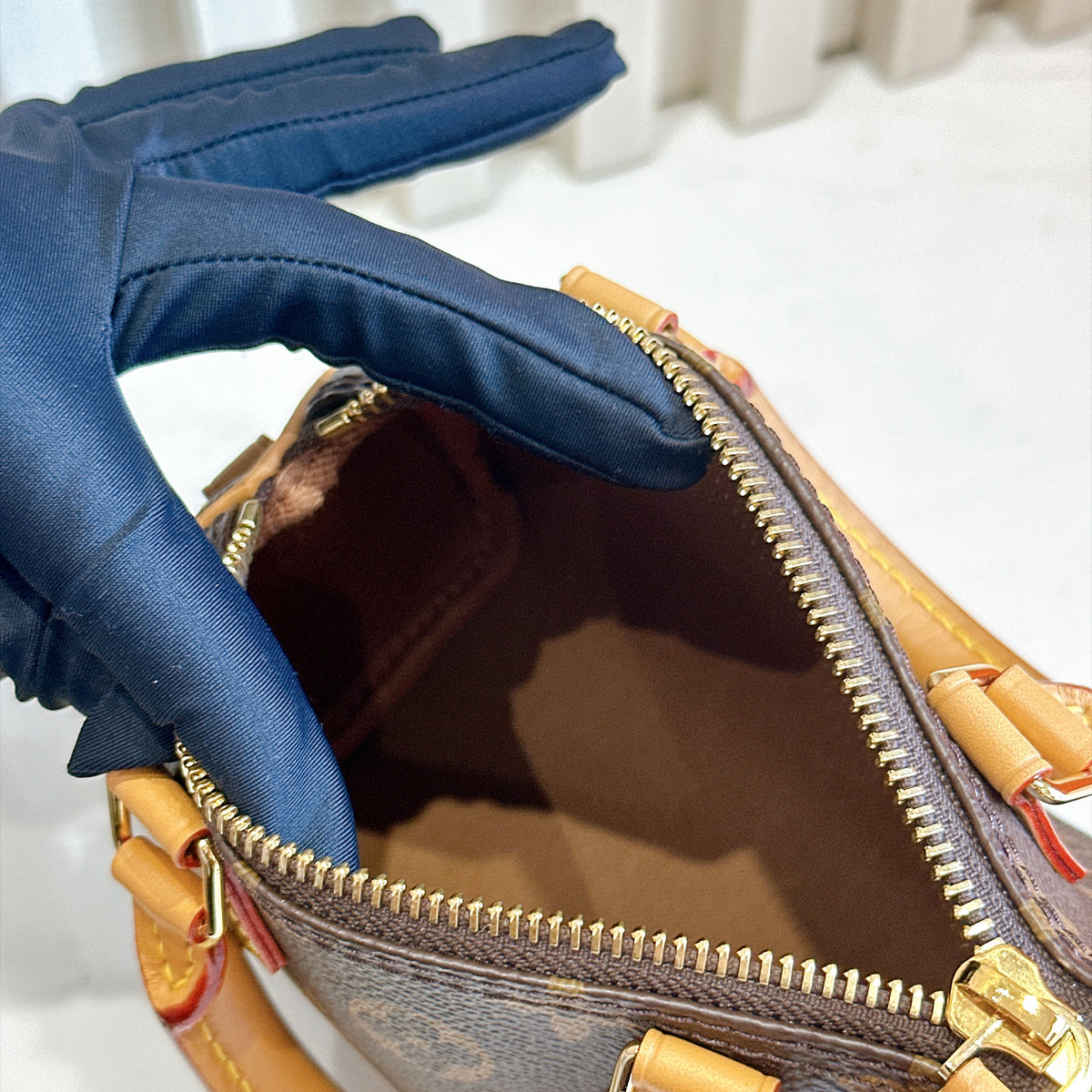 LV Monogram Nano Speedy