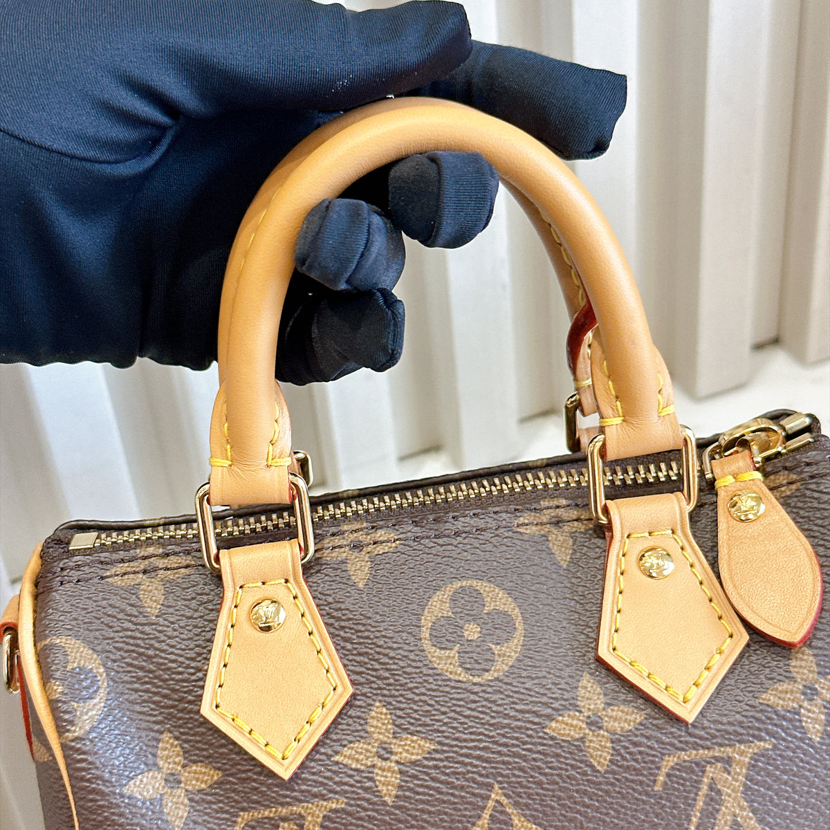 LV Monogram Nano Speedy