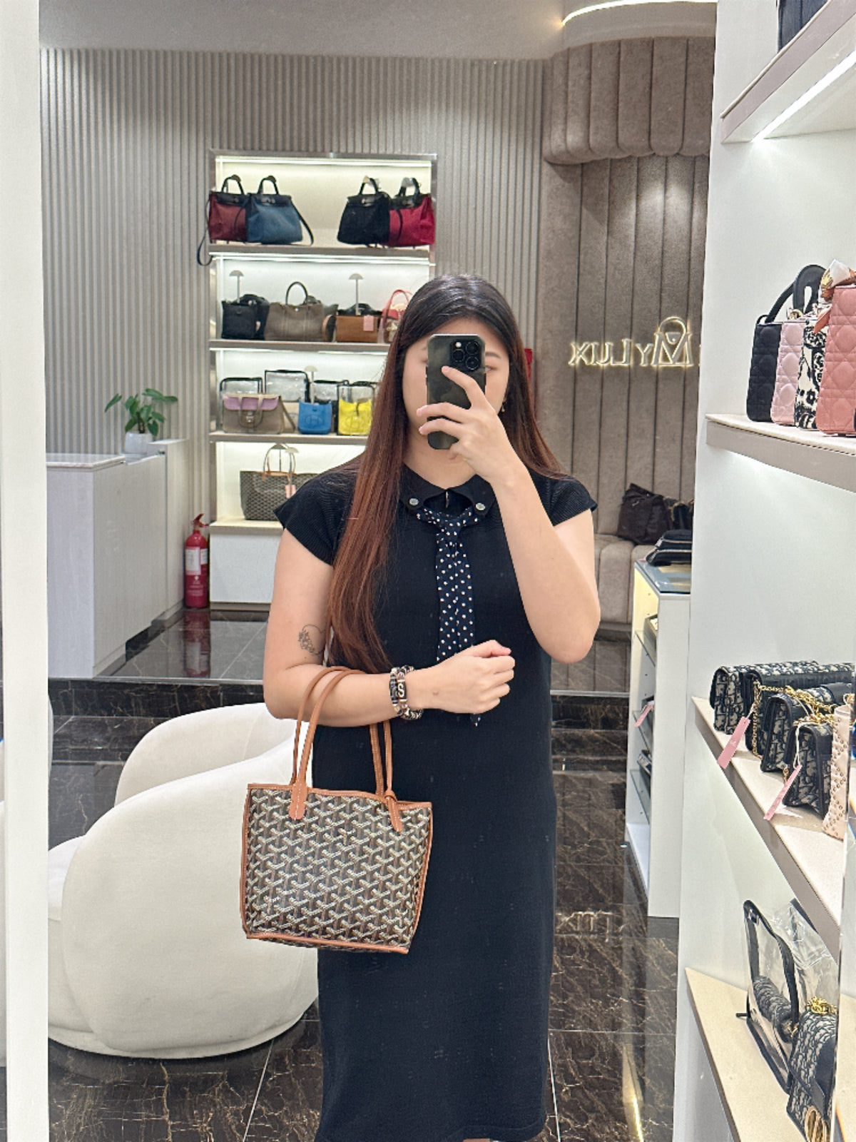 Goyard Mini Anjou in Black and Tan