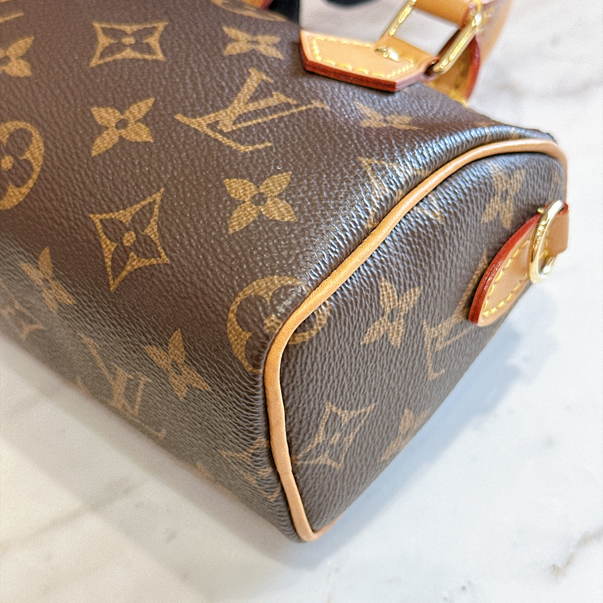 LV Monogram Nano Speedy