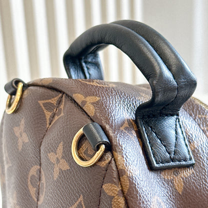 LV Monogram Mini Palm Spring