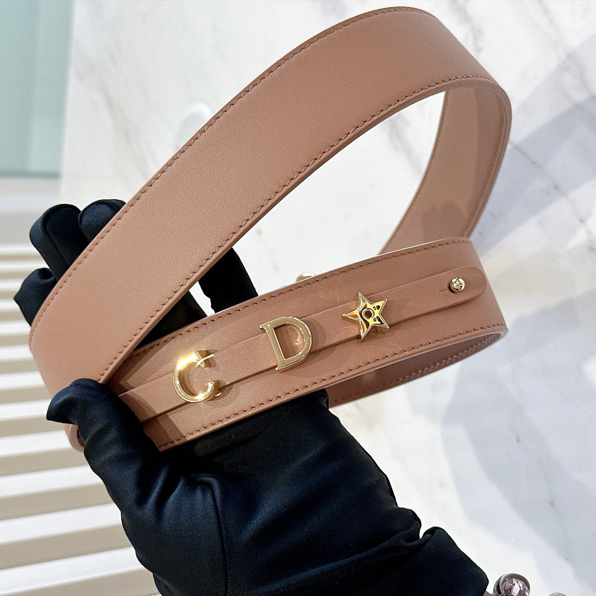 Lady Dior Small Pink in LGHW