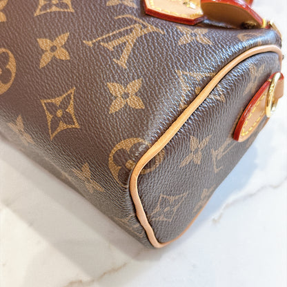 LV Monogram Nano Speedy