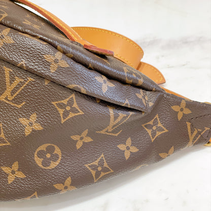 LV Monogram Bumbag