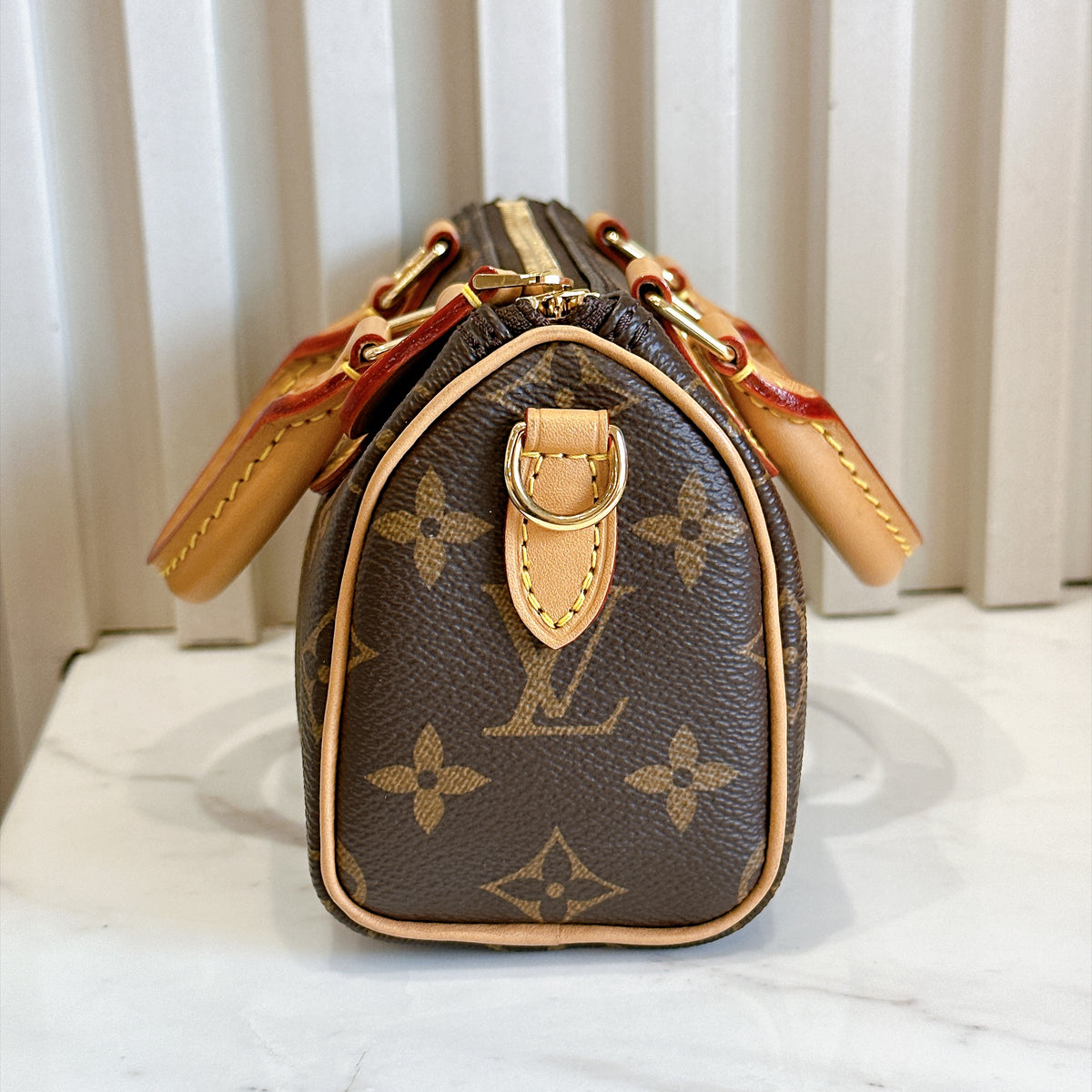 LV Monogram Nano Speedy