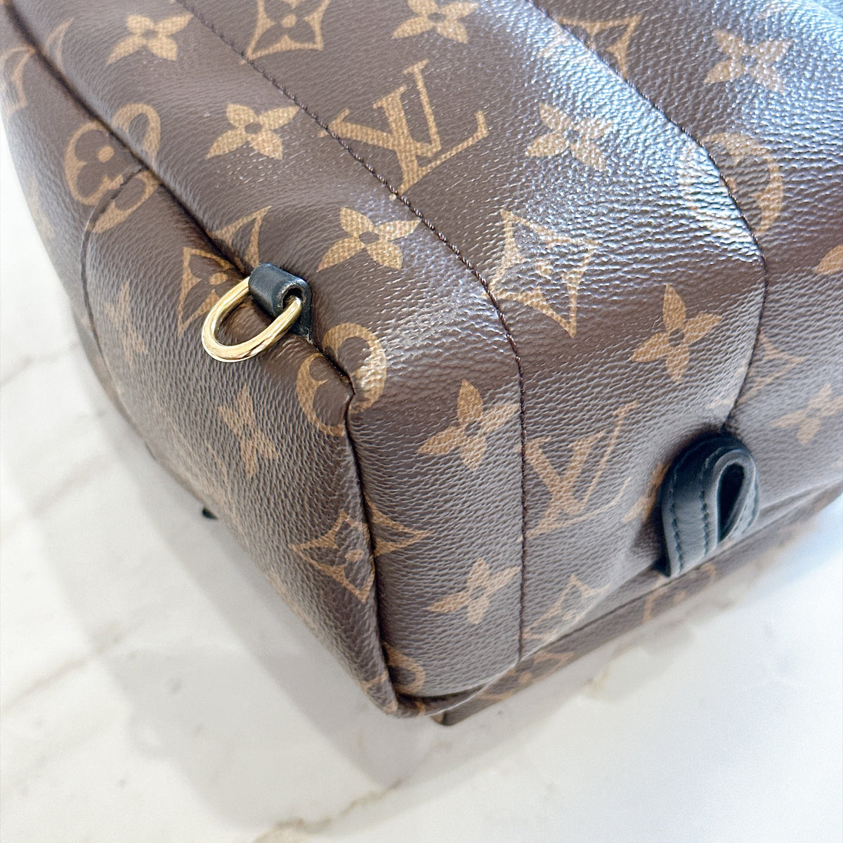 LV Monogram Mini Palm Spring