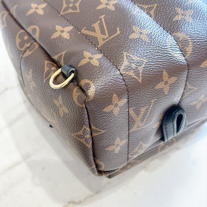LV Monogram Mini Palm Spring