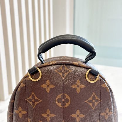 LV Monogram Mini Palm Spring
