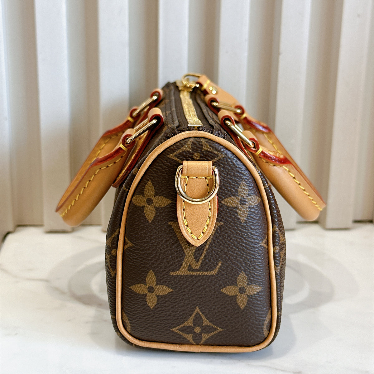 LV Monogram Nano Speedy