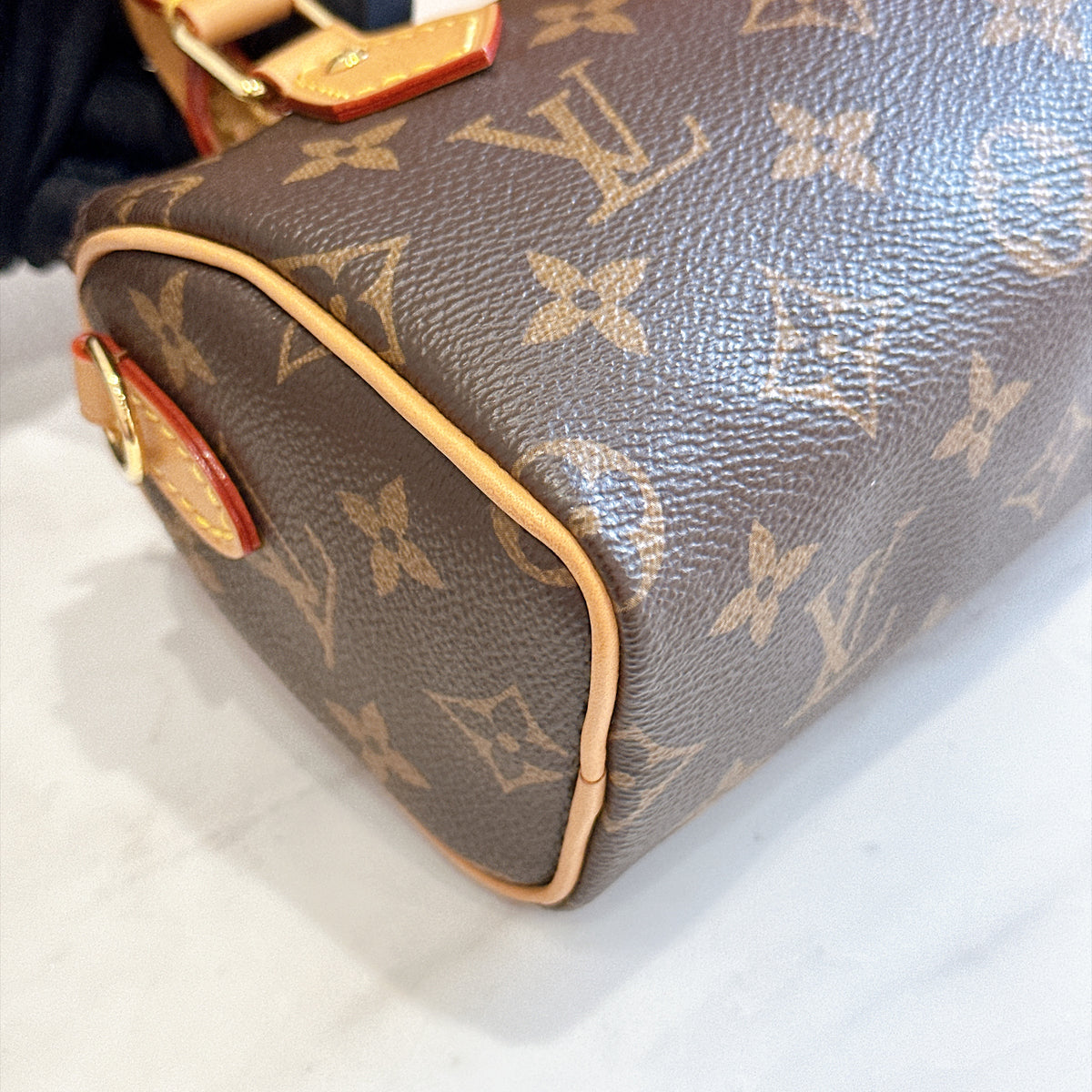 LV Monogram Nano Speedy