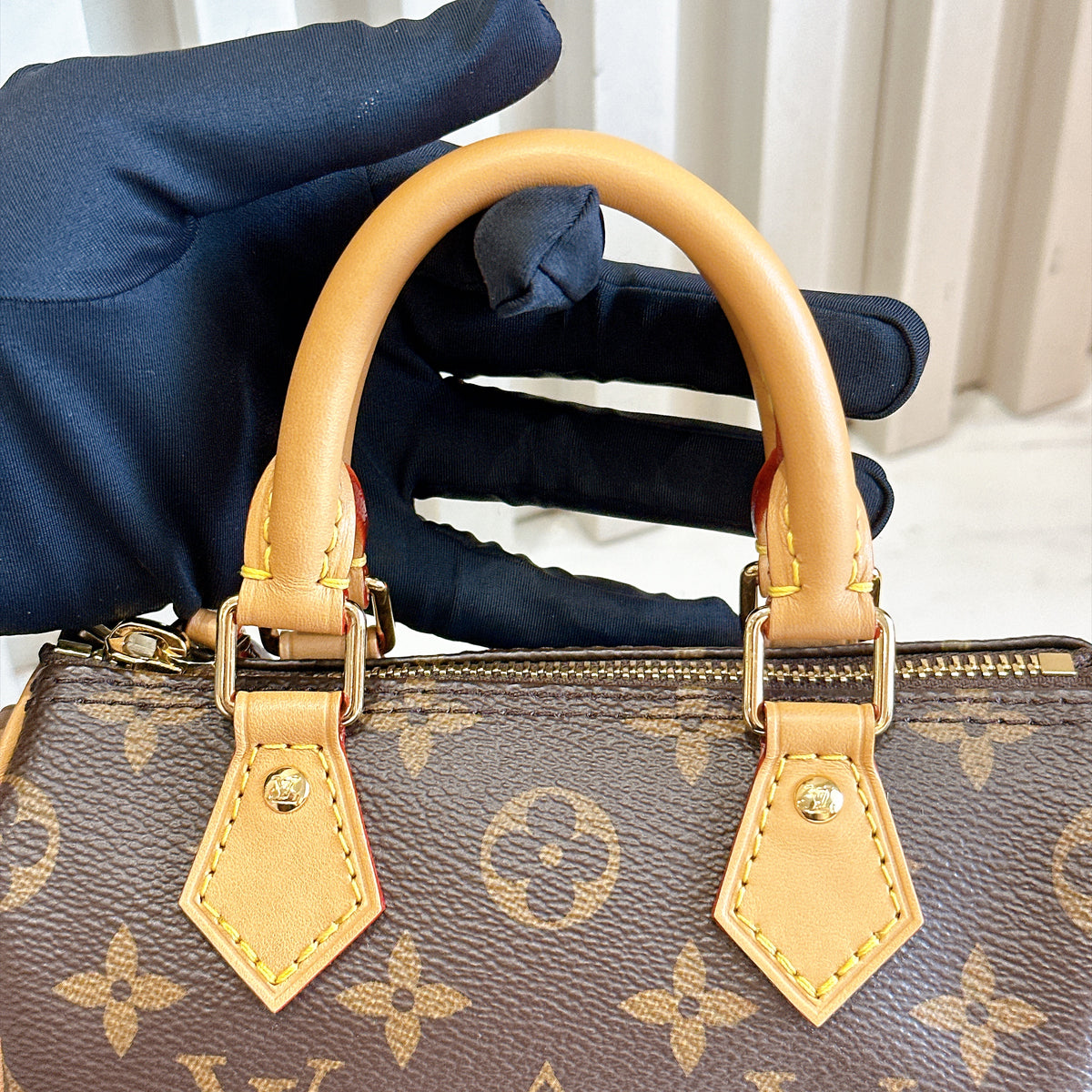 LV Monogram Nano Speedy