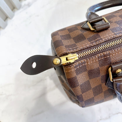 LV Speedy 25 Damier Ebene