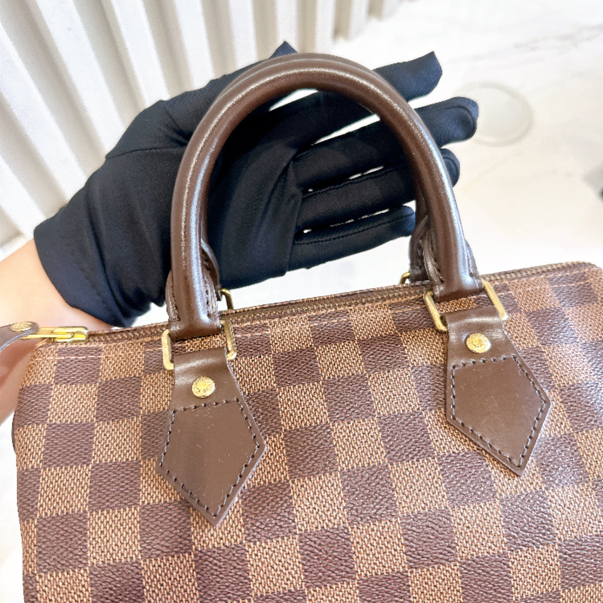 LV Speedy 25 Damier Ebene