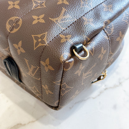 LV Monogram Mini Palm Spring