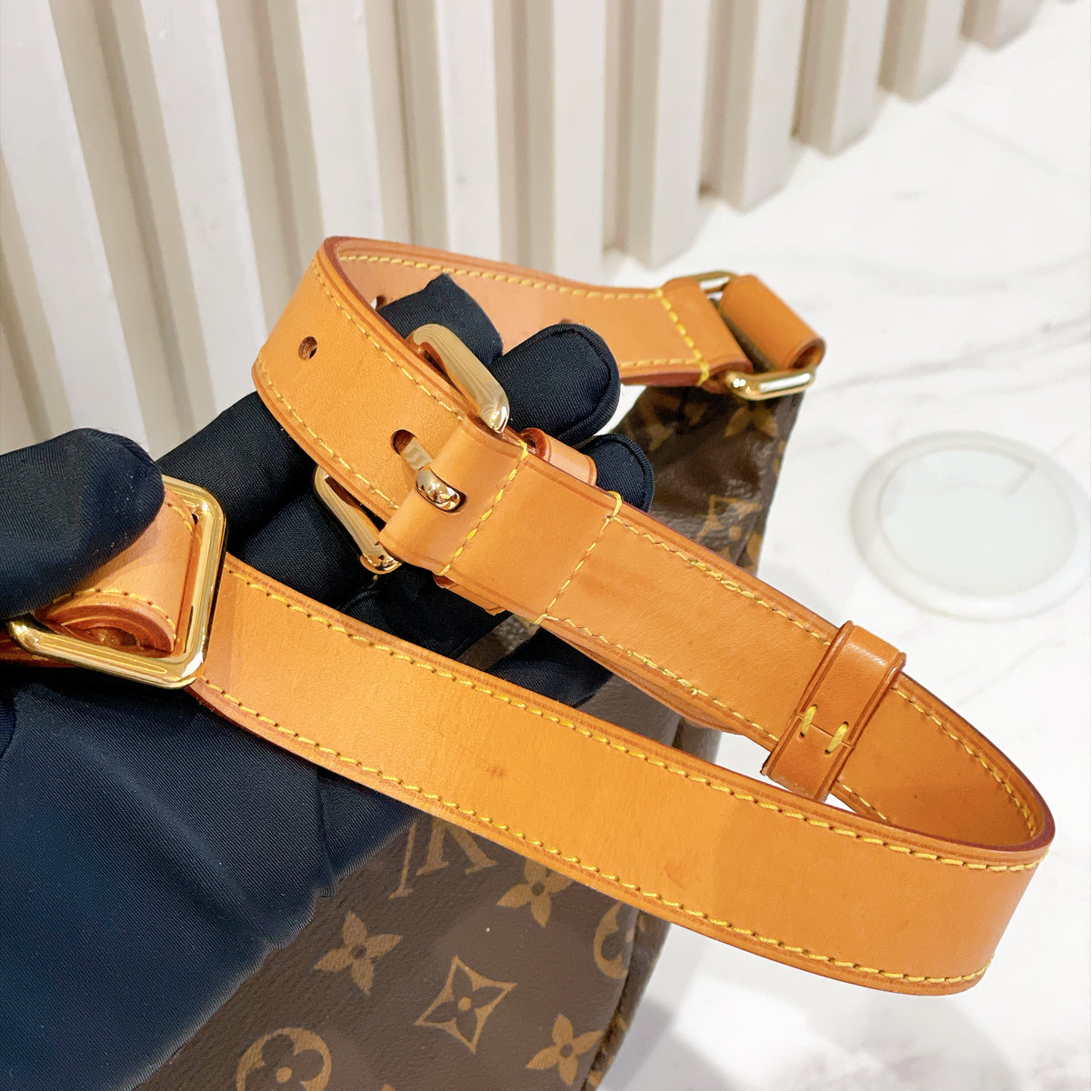 LV Monogram Bumbag