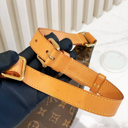 LV Monogram Bumbag