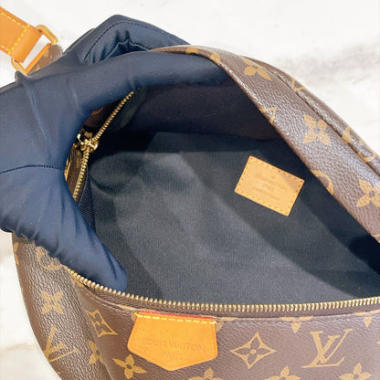 LV Monogram Bumbag