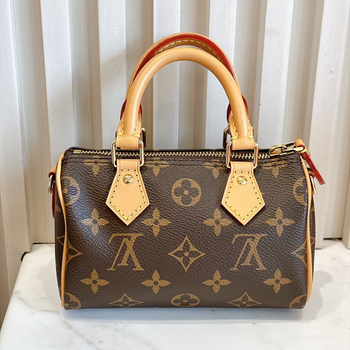 LV Monogram Nano Speedy