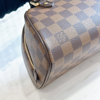 LV Ribera Mini Damier Ebene