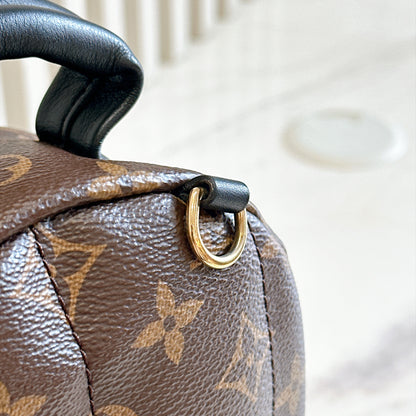 LV Monogram Mini Palm Spring