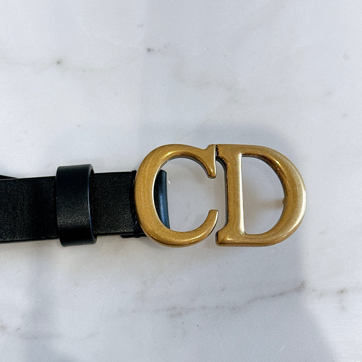 Dior Saddle Belt