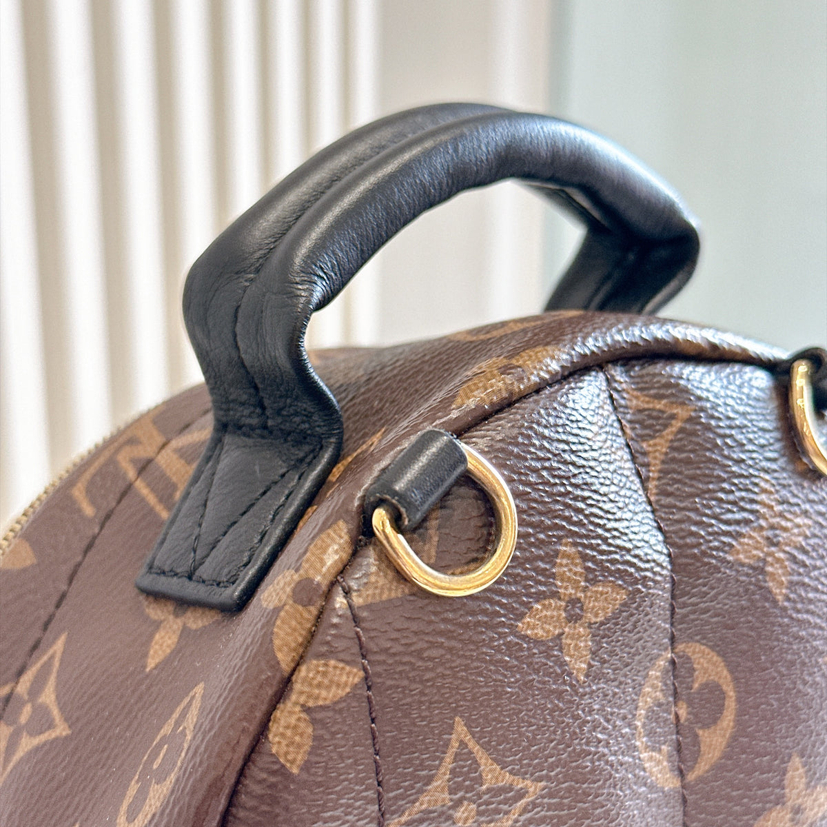 LV Monogram Mini Palm Spring