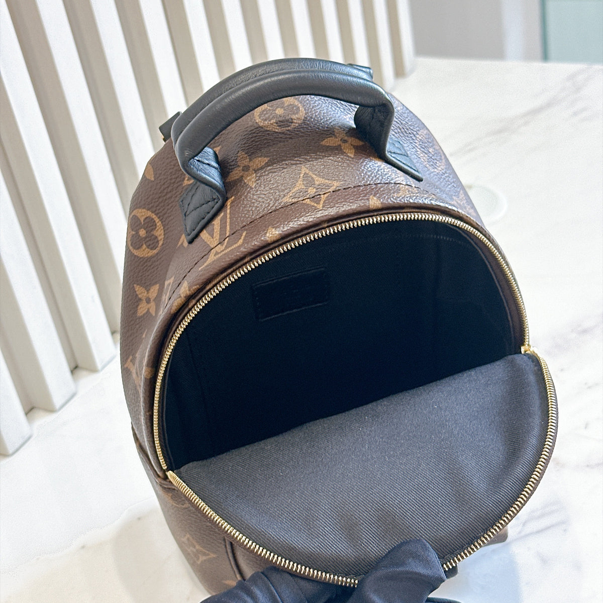LV Monogram Mini Palm Spring