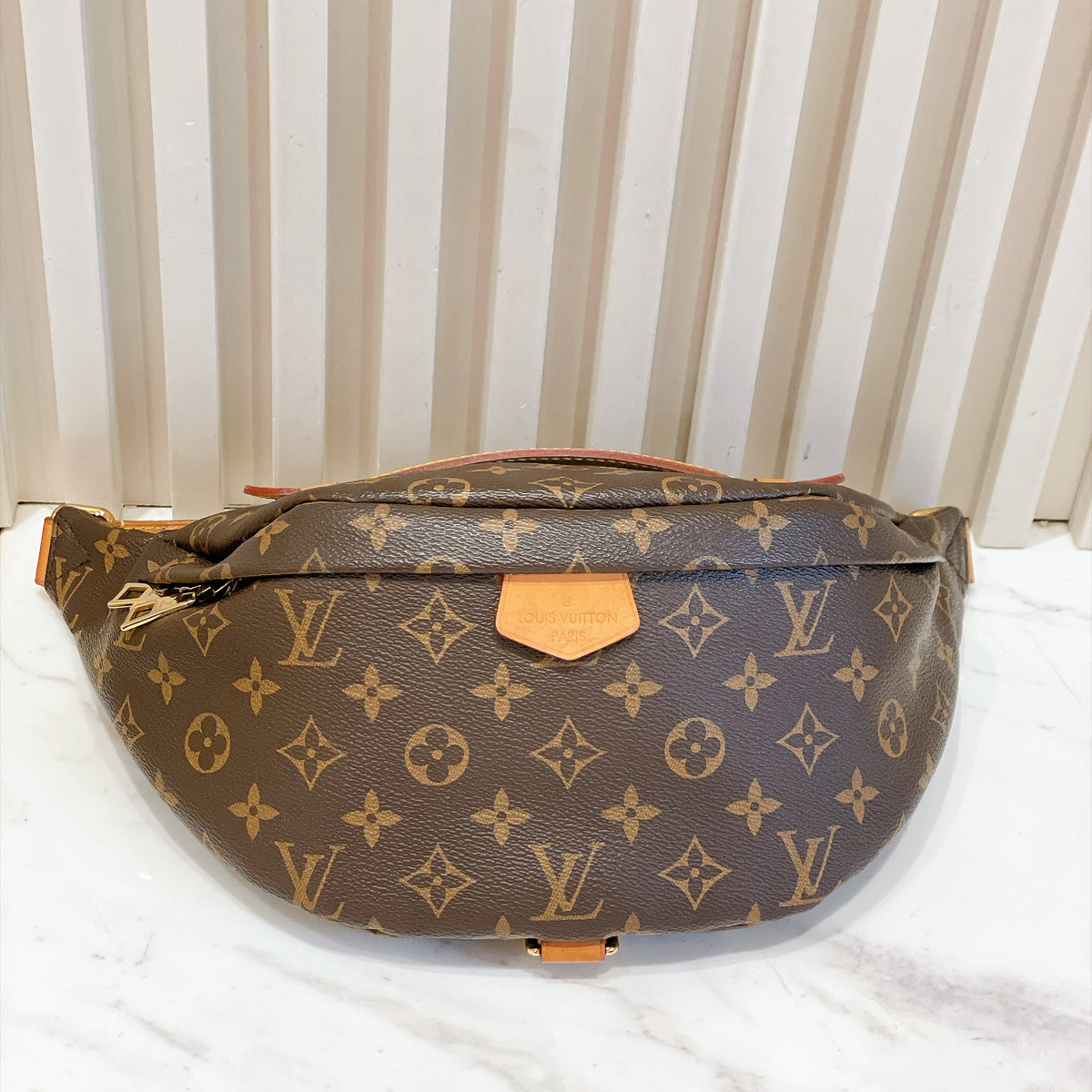 LV Monogram Bumbag