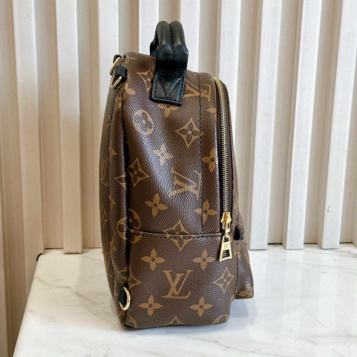 LV Monogram Mini Palm Spring