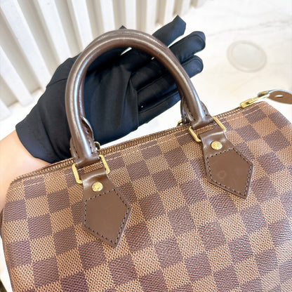 LV Speedy 25 Damier Ebene