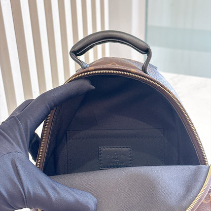 LV Monogram Mini Palm Spring