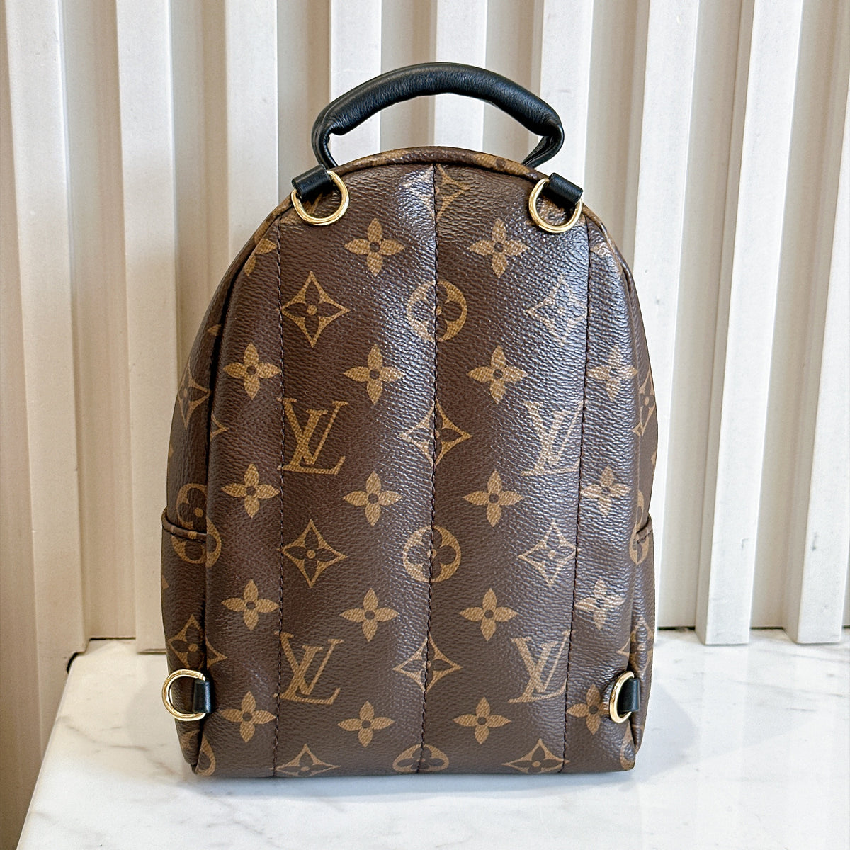 LV Monogram Mini Palm Spring