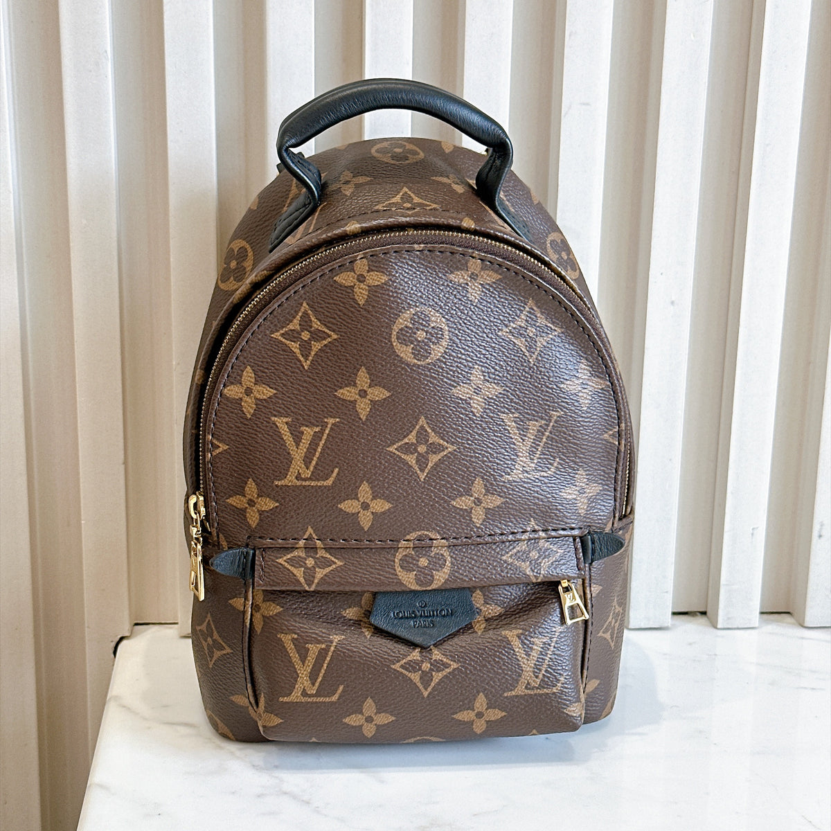 LV Monogram Mini Palm Spring