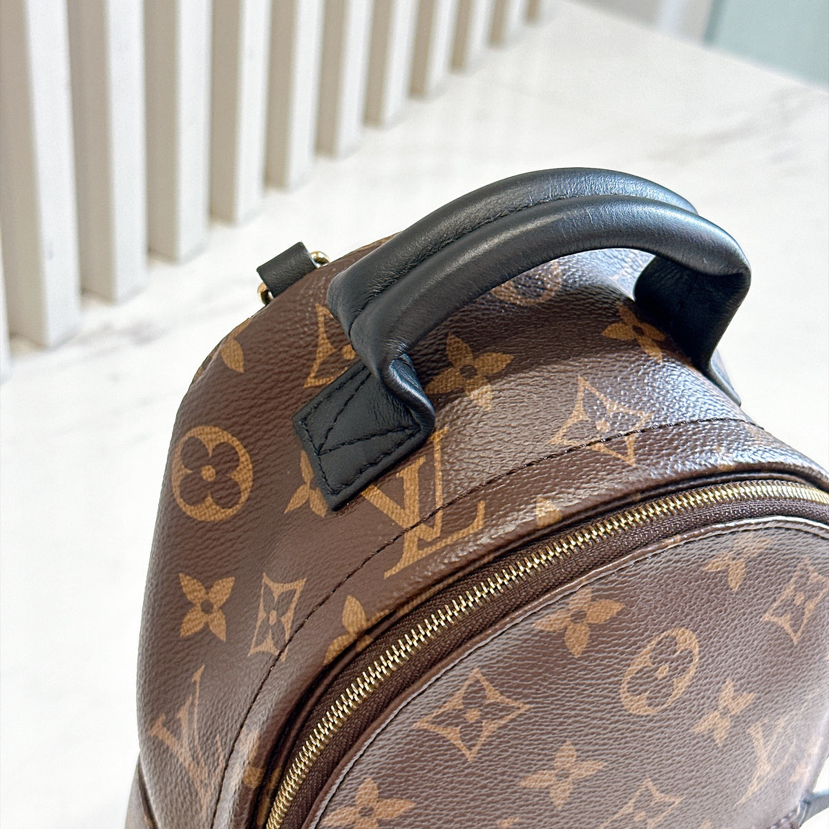 LV Monogram Mini Palm Spring