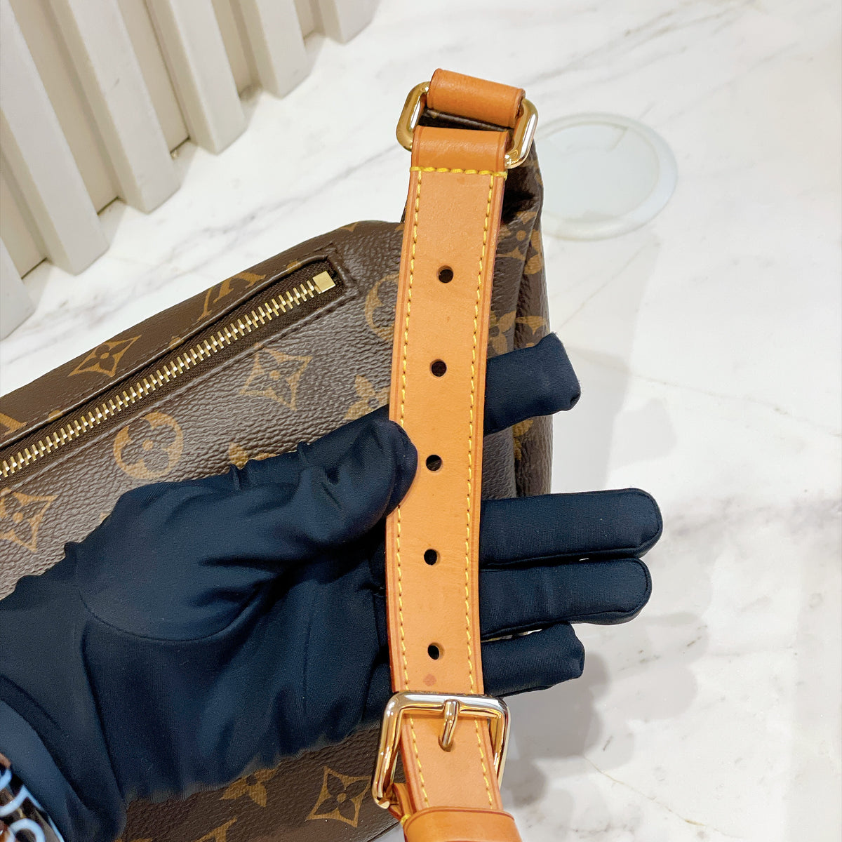 LV Monogram Bumbag