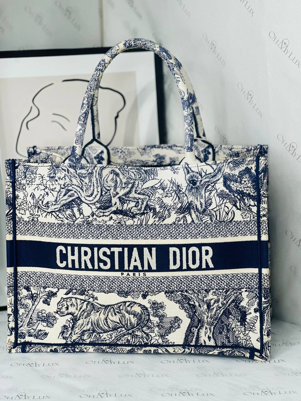 Dior Medium Book Tote in Ecru and Blue Toile De Jouy Embroidery