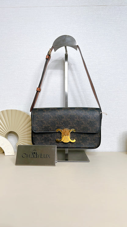Celine Bag Claude in Triomphe Canvas