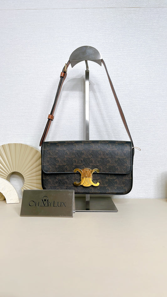 Celine Bag Claude in Triomphe Canvas
