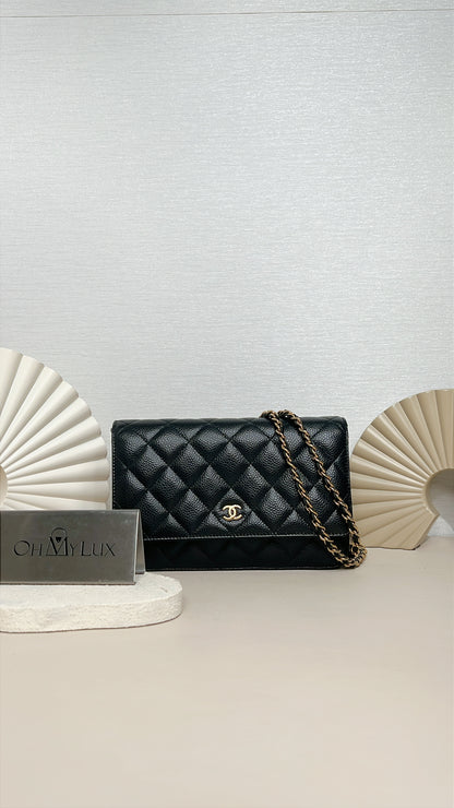 Chanel Classic Flap Wallet On Chain