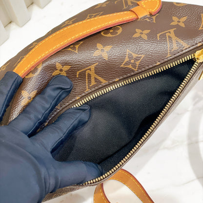 LV Monogram Bumbag