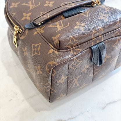 LV Monogram Mini Palm Spring